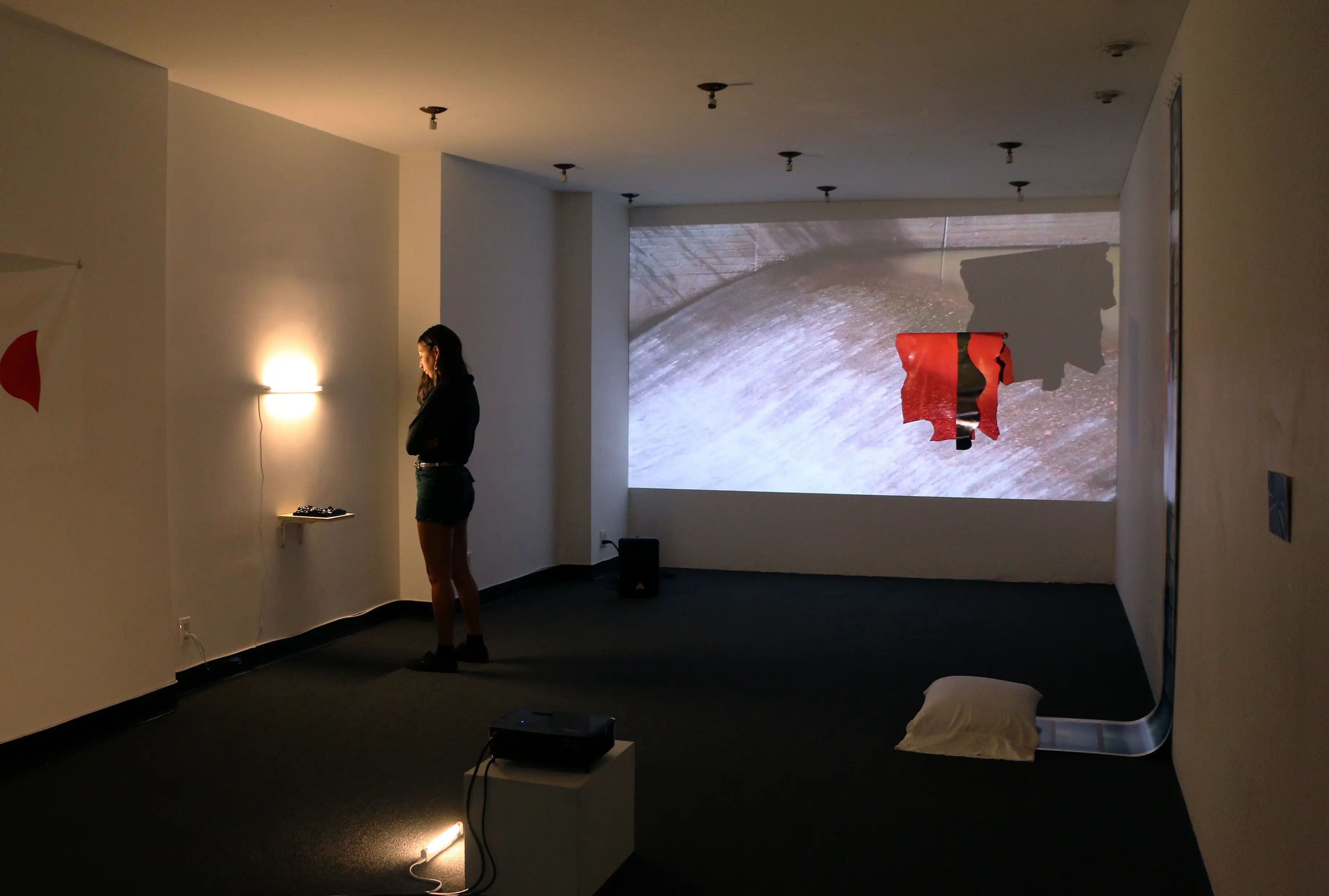 This Is Always This duo show (with Karen Y. Chan), AC Institute New York City, 1 - 23 June 2017. Photos by Karen Y. Chan.